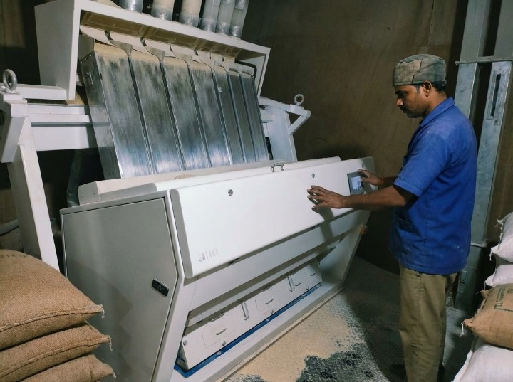 Rice mill farmers working in field